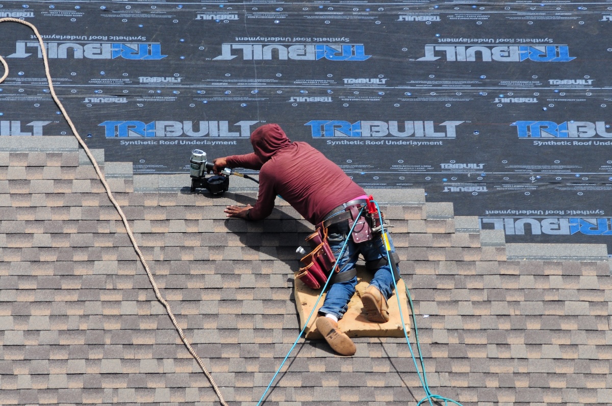 how to install roof shingles Roofer at work using a pneumatic nail gun to install shingles over a synthetic underlayment on a building’s roof