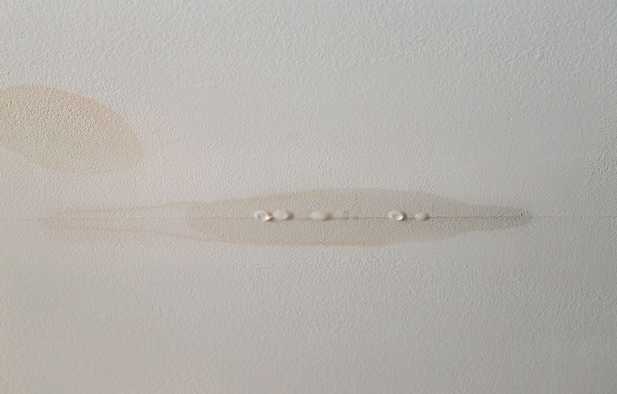 how to find a roof leak Water is leaking from drywall ceiling in home room, water damage. Water dripping from crack.