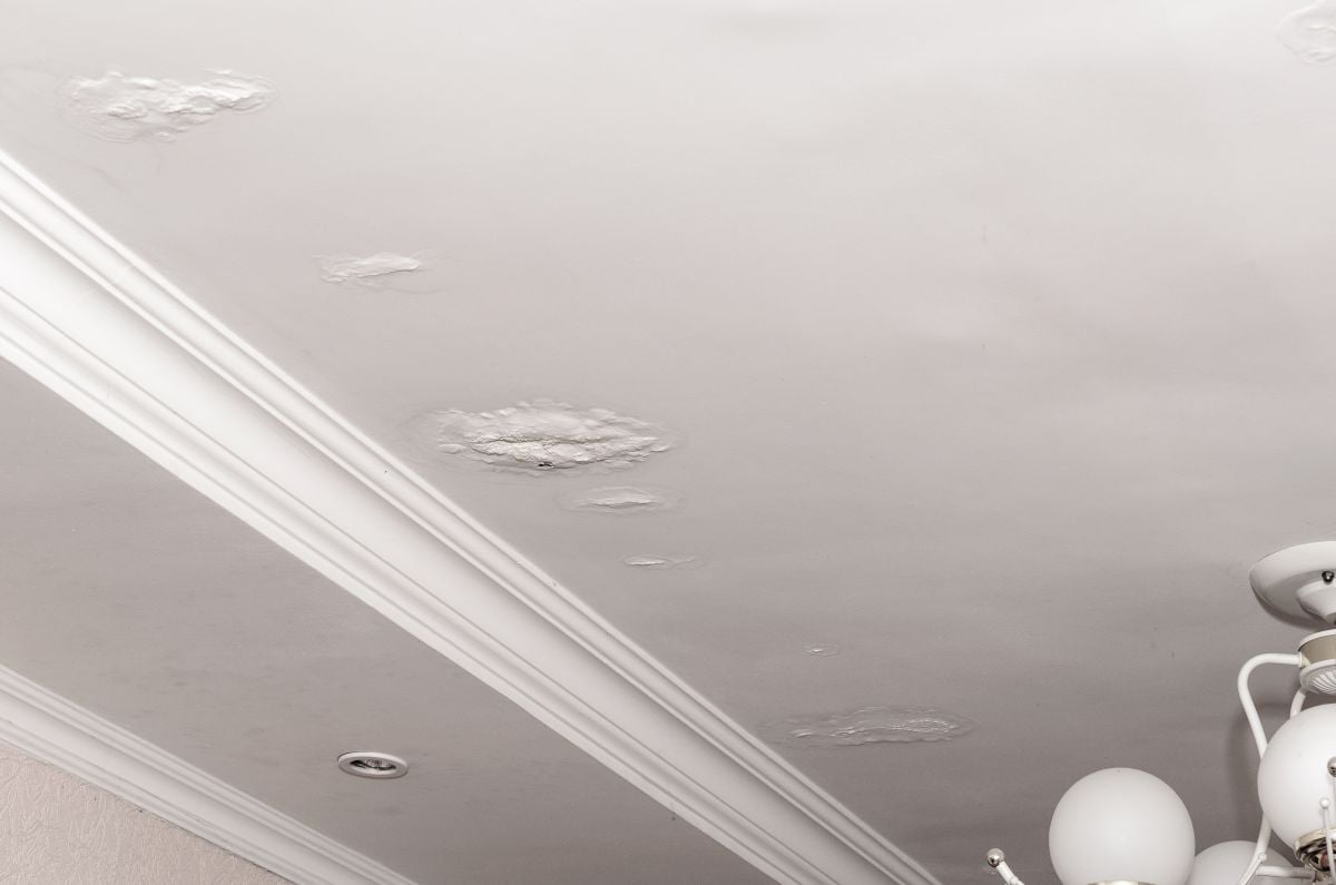 Stains on the ceiling a result of leaking rain water roof