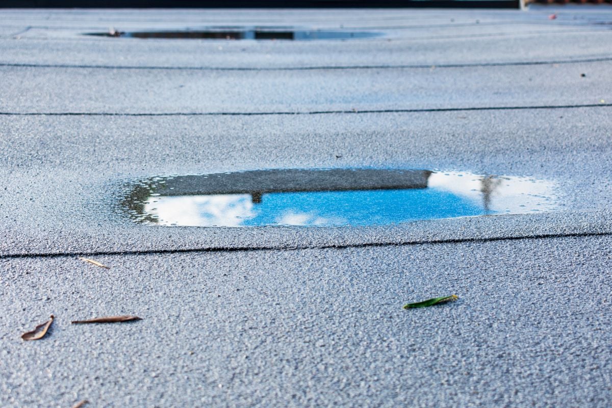 Ponding rainwater on flat roof after rain is result of drainage problem.
